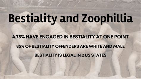 whats bestiality|Zoophilia